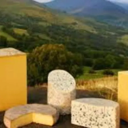 Joli A Murat Proche Du Lioran Cantal Apartment
