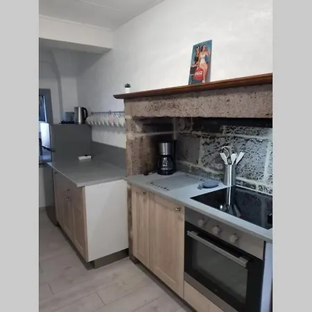 Apartment Joli A Murat Proche Du Lioran Cantal Murat (Cantal)