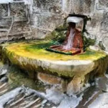 Joli A Proche Du Lioran Cantal Murat (Cantal)
